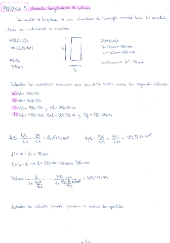 Practica-5-Armado-longitudinal-de-pilares.pdf