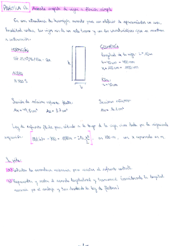 Practica-6b-Armado-completo-de-vigas-a-flexion-simple.pdf