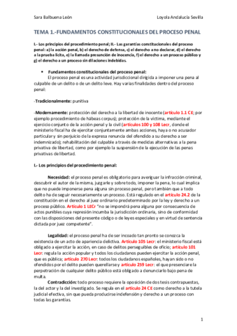TEMA-1-Procesos-Penales.pdf