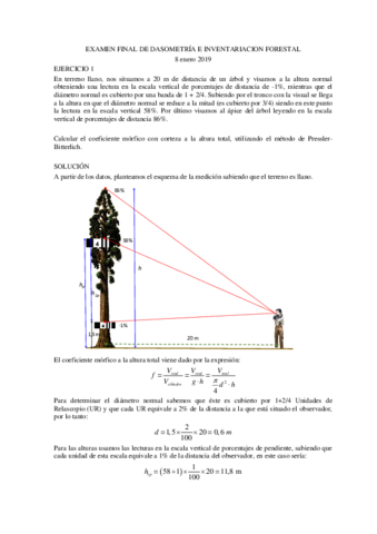 Soluciones-ejercicios-enero-2019.pdf