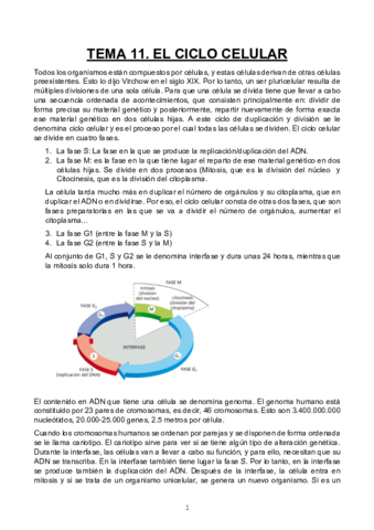 TEMA-11.pdf