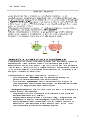 TEMA-9-METABOLISMO.pdf