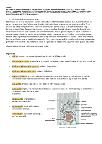 TEMA-7-BIOLOGIA.pdf