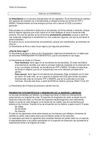 TEMA-10-FOTOSINTESIS.pdf