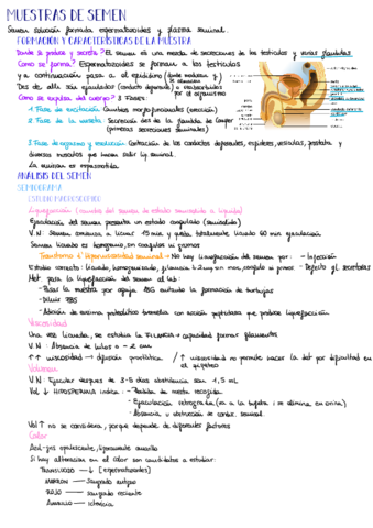 Bioquimica-UF3.pdf