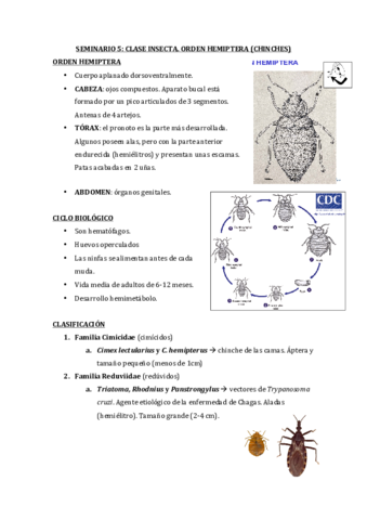 SEMINARIO-5.pdf
