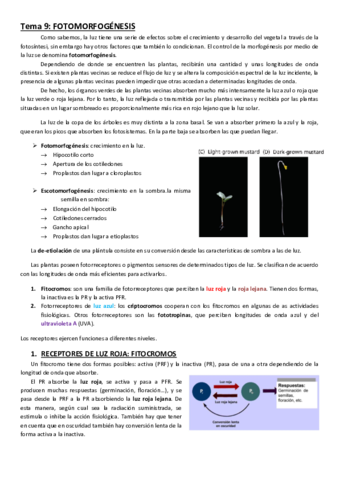 TEMA-9.pdf