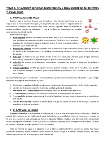 TEMA-6.pdf