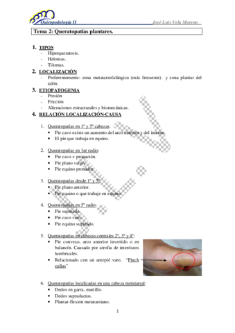 TEMA-2-Queratopatias-plantares-bien-copia.pdf
