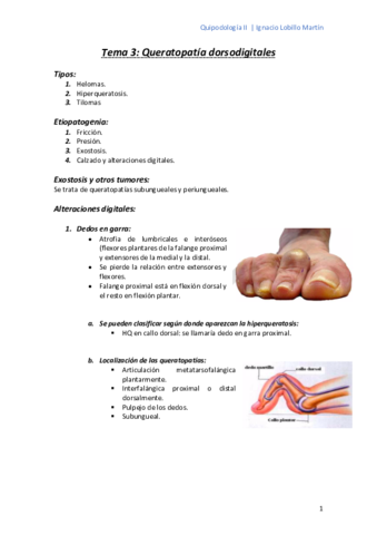 Tema-3.pdf