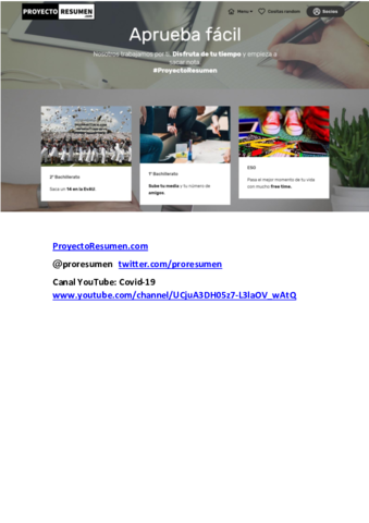 ProyectoResumen.pdf