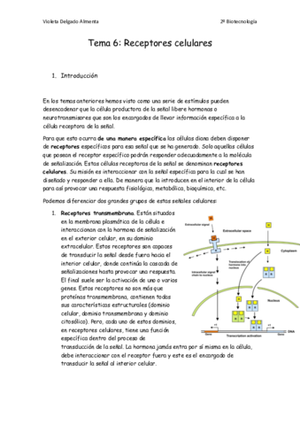 Tema-6.pdf