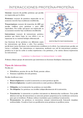 Interacciones proteína-proteína 4OCT.pdf