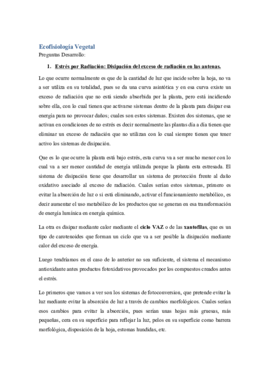 Preguntas FVA.pdf