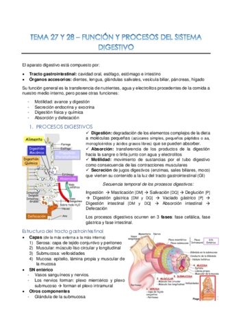 Tema-27-y-28-Sistema-digestivo-funcion-y-procesos-convertido.pdf