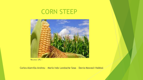 S11-Presentacion.pdf