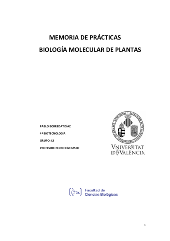 MEMORIA-DE-PRACTICAS.pdf