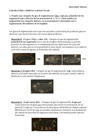 laboratorio-genetica-molecular.pdf