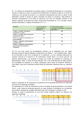 Serie-P8-2018-19-RESUELTA.pdf