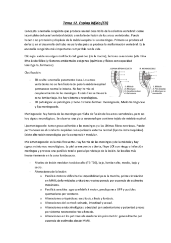 Tema-12.pdf