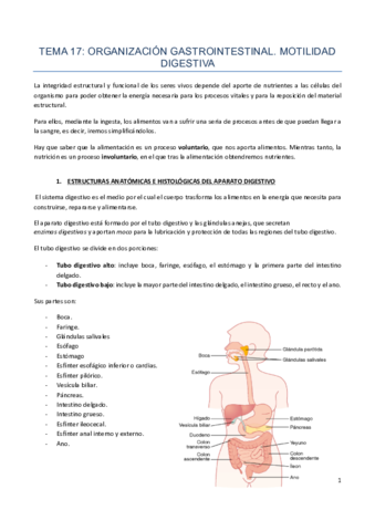 TEMA-17.pdf
