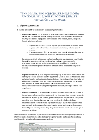 TEMA-20.pdf