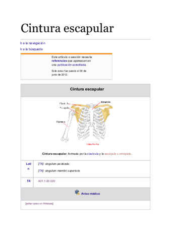 Cintura-escapular.pdf