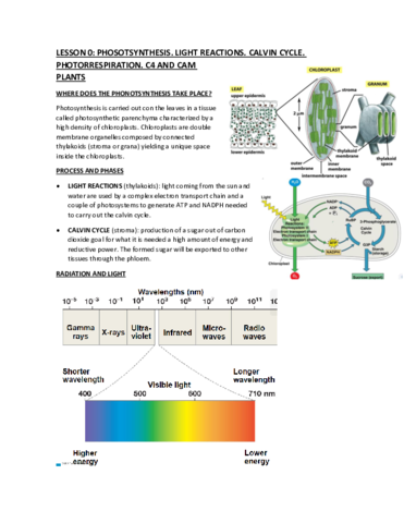 LESSON-0.pdf