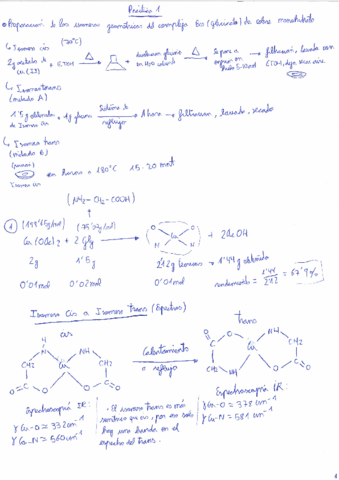 Prácticas Química Bioinorganica.pdf