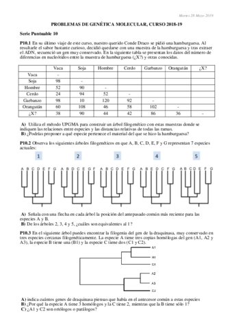Serie-P10-2018-19-RESUELTA.pdf