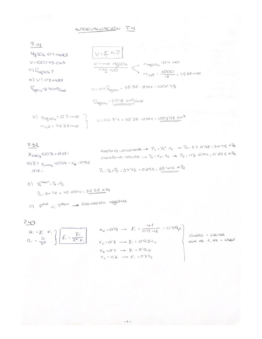 Autoevaluacion-y-problemas-T4-FQ.pdf