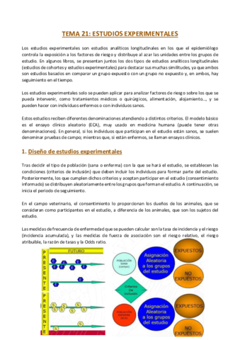TEMA-21-Epidemiologia.pdf