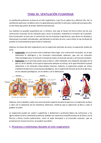 TEMA-35-Fisiologia.pdf