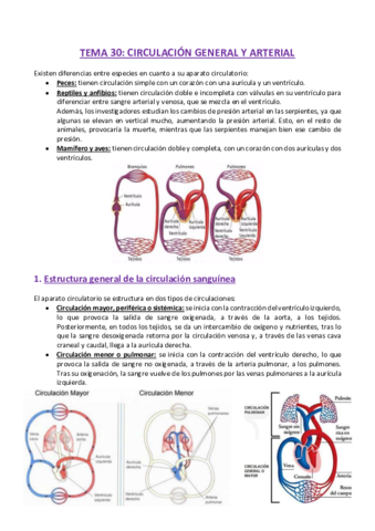 TEMA-30-Fisiologia.pdf