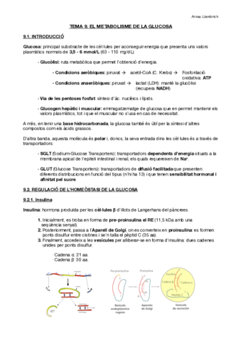 Apunts-Analisis-Cliniques-i-diagnosi-de-laboratori-Tema-9.pdf