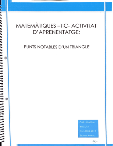 Practica-triangles.pdf