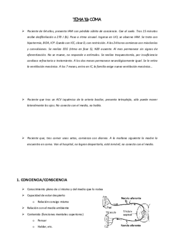 TEMA-19.pdf