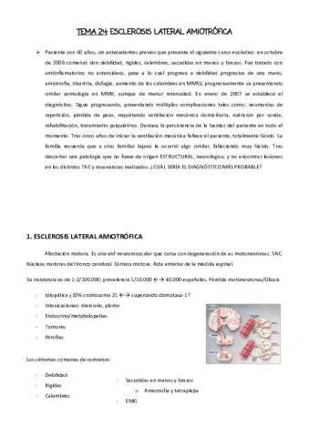 TEMA-24.pdf