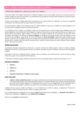 Apuntes-clase-laboral-ESTOS.pdf