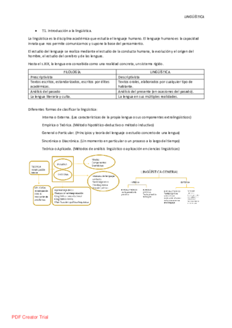 Tema-1-Linguistica.pdf