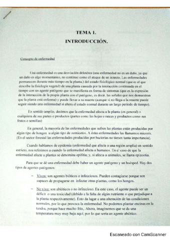 Apuntes-patologia.pdf