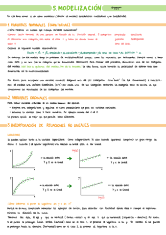 T5 - Modelización