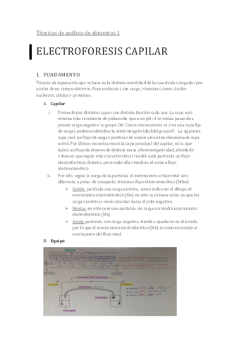 ELECTROFORESIS-CAPILAR.pdf