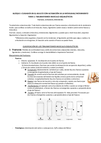 tema-1-y-2.pdf