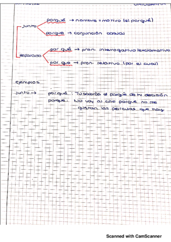 ORTOGRAFIA-Y-LEXICO20190618170701.pdf