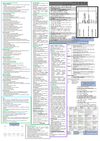 CHULETA-EXAMEN-ENVELLIMENT.pdf