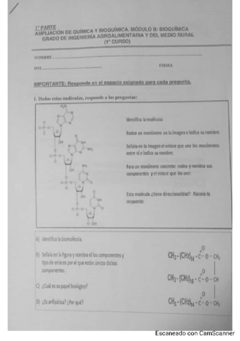 Examen-teoria-BIOQUIMICA.pdf