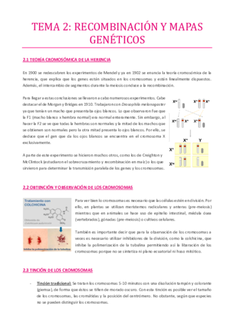 TEMA-2.pdf