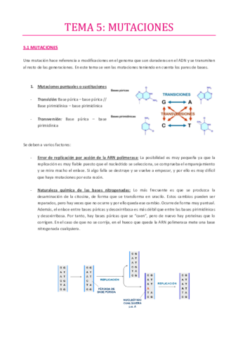 TEMA-5.pdf