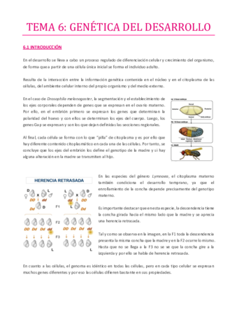 TEMA-6.pdf